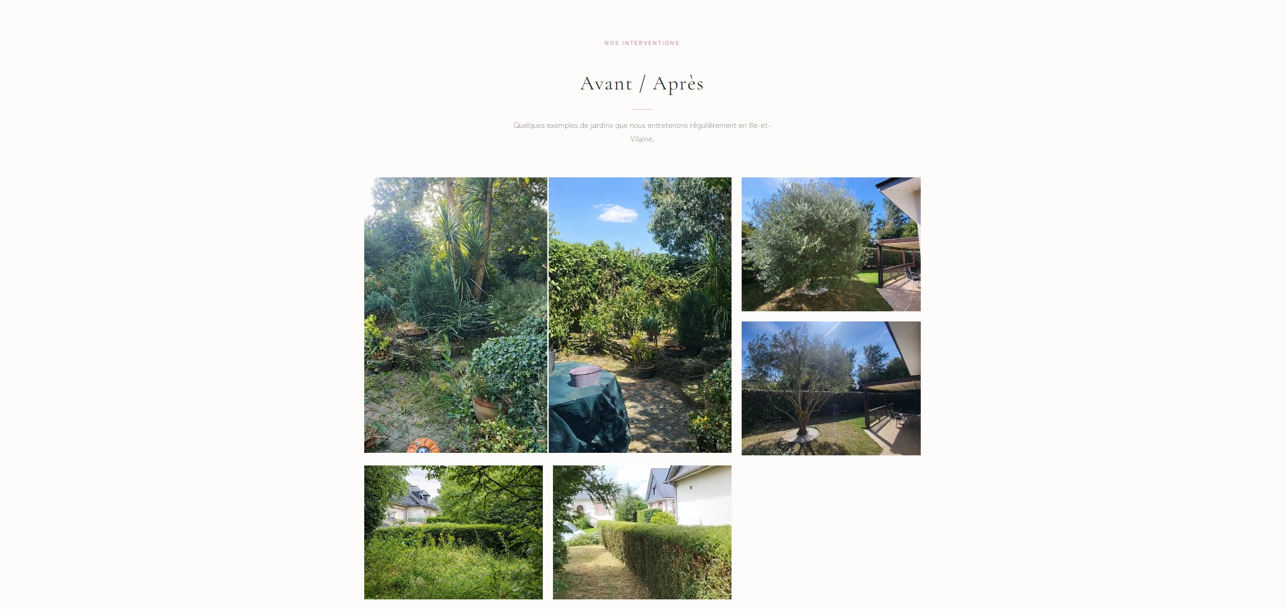 Quenora Paysage Screenshot 4